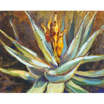 Yellow Blooming Aloe Merlothii Print Karin Shelton - Karin Shelton, The Santa Barbara Company